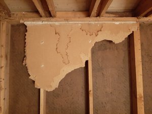 20201108_172938.jpg