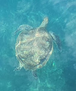 20201017_125218_2.jpg