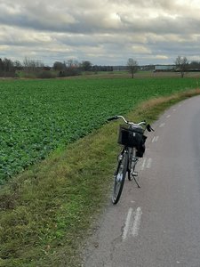 20201118_132751.jpg