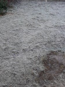 20201127_104044.jpg