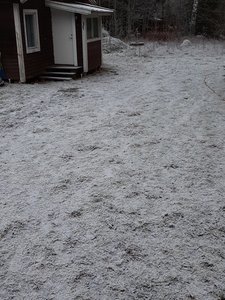 20201128_083321.jpg