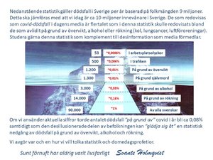 Dödsfallsstatistik.jpg