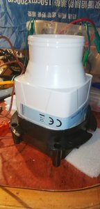 IMG_20201214_192003.jpg IMG_20201214_192003.jpg