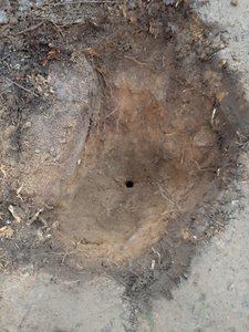20201219_151725.jpg