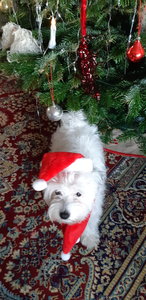 20201223_105653.jpg