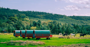 irland-hast-och-vagn-glamping-1-1500x777.jpg