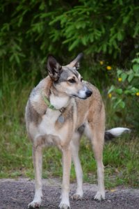 DSC_0885.JPG DSC_0885.JPG