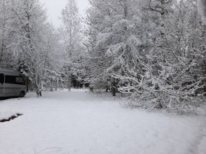 20210109_090551.jpg