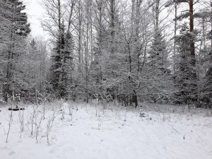 20210109_090602.jpg