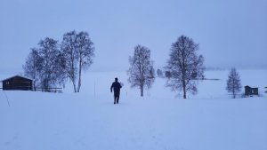 Särna.jpg