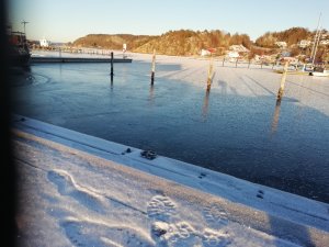 IMG_20210116_144726.jpg