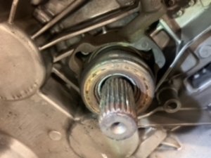 53F263C5-7B58-4DC5-A368-789AB97C3C27.jpeg 53F263C5-7B58-4DC5-A368-789AB97C3C27.jpeg