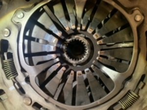 3829D537-2DD6-4E33-81C6-0E7BF6EA411A.jpeg 3829D537-2DD6-4E33-81C6-0E7BF6EA411A.jpeg