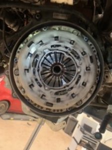 CEC85740-F525-4C40-A9CA-9CB340019925.jpeg CEC85740-F525-4C40-A9CA-9CB340019925.jpeg