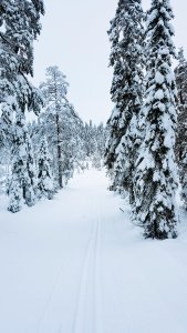 20210125_130442~2.jpg 20210125_130442~2.jpg