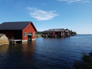 20200811_100353 - kopia.jpg