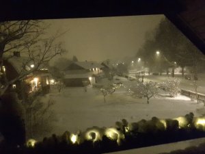20210128_202405.jpg