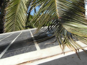 SAM_0914.JPG SAM_0914.JPG