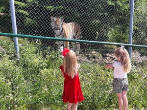 20200701_150614.jpg 20200701_150614.jpg