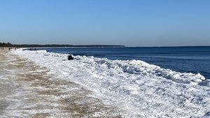 96BF5A9B-DC4D-47F2-881C-F054268A451F.jpeg 96BF5A9B-DC4D-47F2-881C-F054268A451F.jpeg