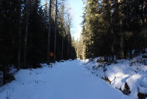 Fricamping under vintern