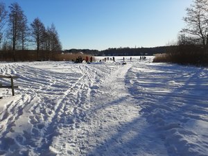 20210214_141456.jpg