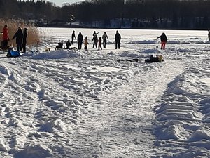 20210214_141508.jpg