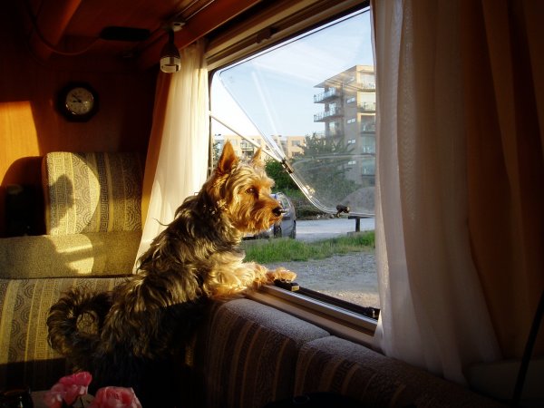 Husbilssem.jpg Husbilssem.jpg