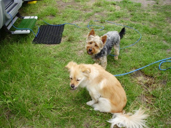 P7290377.JPG P7290377.JPG