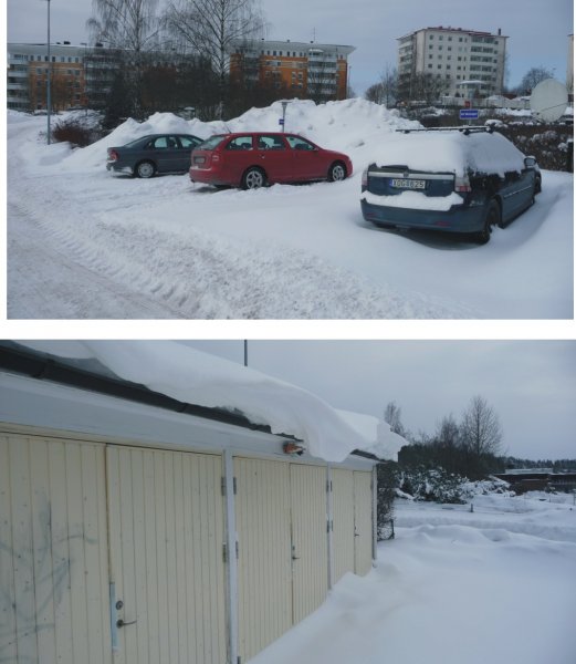 Snö 2010.jpg