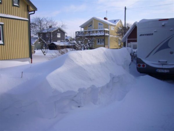 P1080159 (Medium).JPG