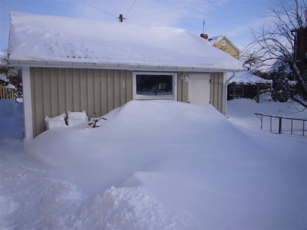 P1080164 (Medium).JPG