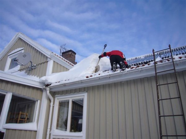 P1080165 (Medium).JPG