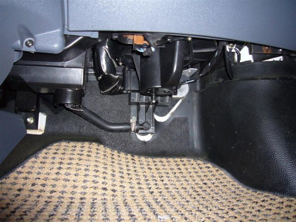 P1080169 (Medium).JPG