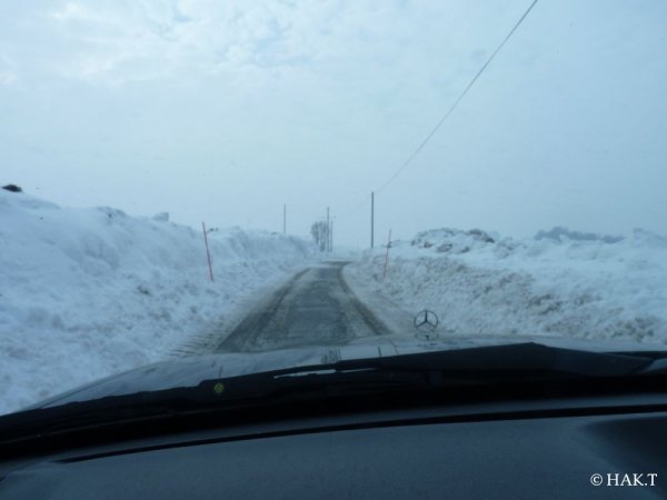 P1010074.JPG