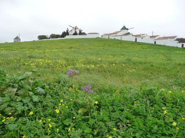 a Vila do Bispo.jpg