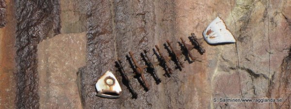 på 007.JPG på 007.JPG