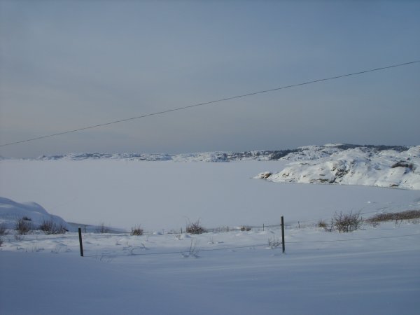 Malö i snöskrud 006.JPG