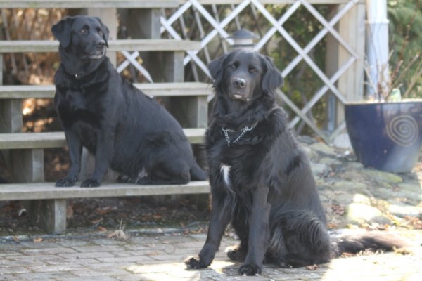 nikki 066.JPG nikki 066.JPG