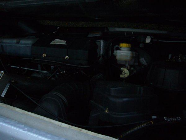 P1080293 (Large).JPG