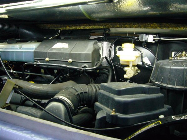 P1080294 (Large).JPG