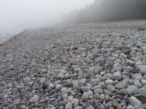 P1010338.JPG