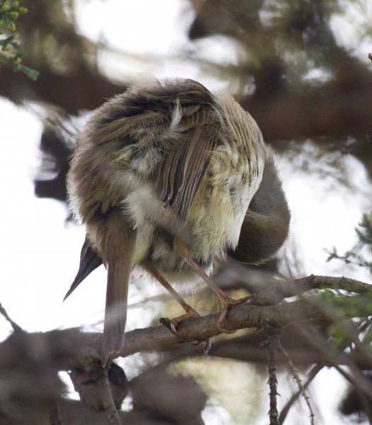 Gåta 2, 3p, art.jpg