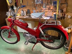 IMG_2954.jpg