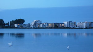 P1010401.JPG P1010401.JPG