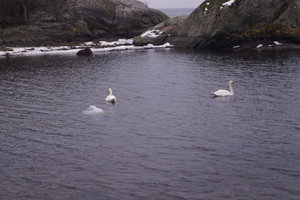 Lövholmen Nynäshamn 003.JPG