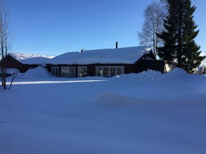 Inga vårkänslor.JPG