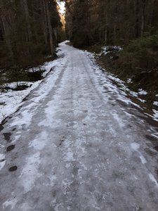 20210227_080438.jpg