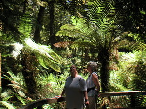 PICT0022.JPG PICT0022.JPG