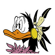 Mindre Välldignäbb.jpg